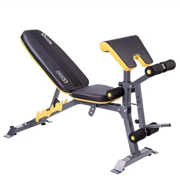HMS LS3061 Panca Regolabile | Panca per Addominali con Leg Developer e Scott, Home Fitness